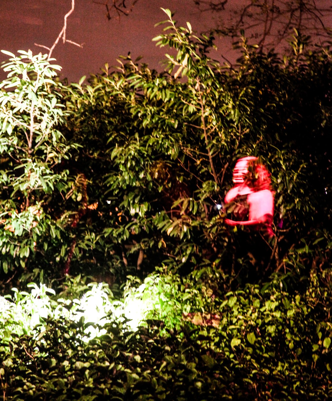 GabrielaVigon_Apariciones