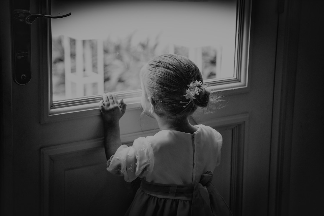 Fiesta! C &amp; N (294)